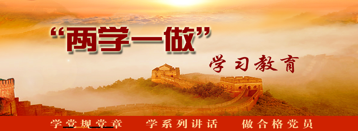 兩學(xué)一做