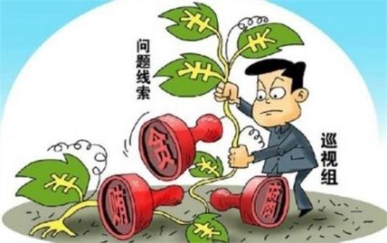 中央巡視組